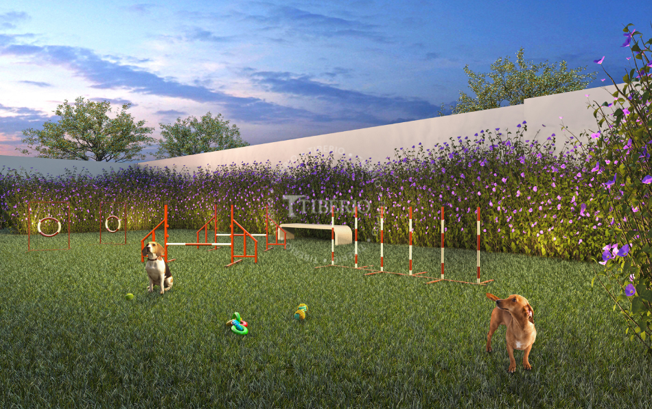 Max Belém - Residencial - 23962 - Pet place