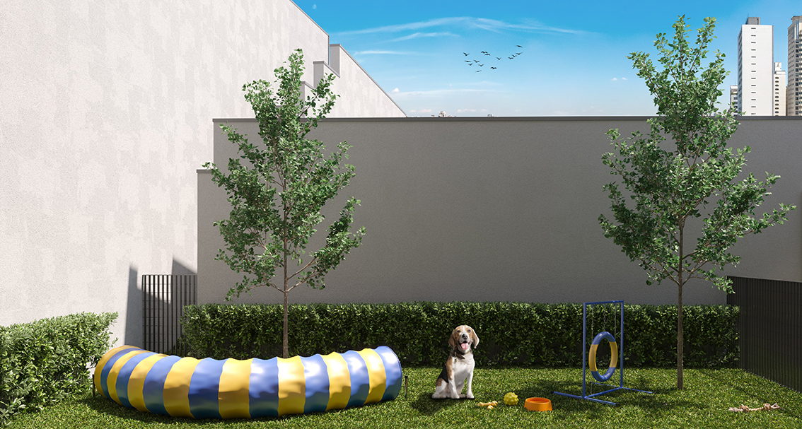 Nik Paradiso - Residencial - 30697 - Pet place
