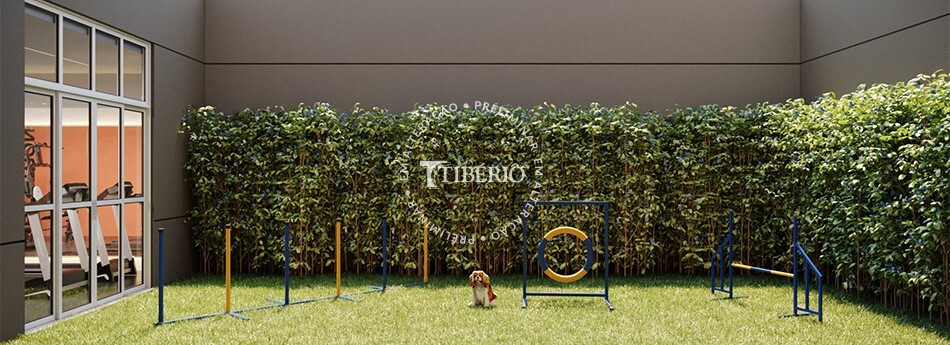 Jump Tatuapé - Residencial - 31192 - Pet place