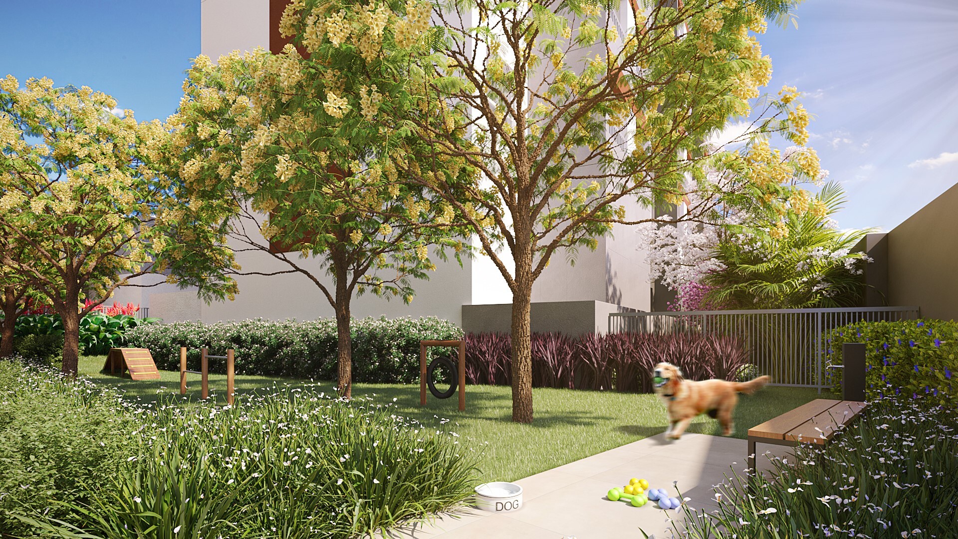 Origem Guilhermina - Residencial - 38425 - Pet place