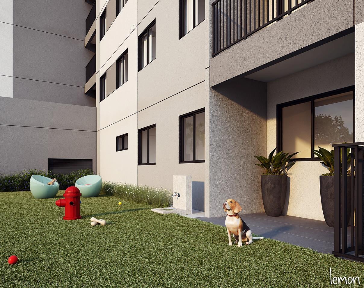 Neo Kazzas Lapa - 44926 - Pet place