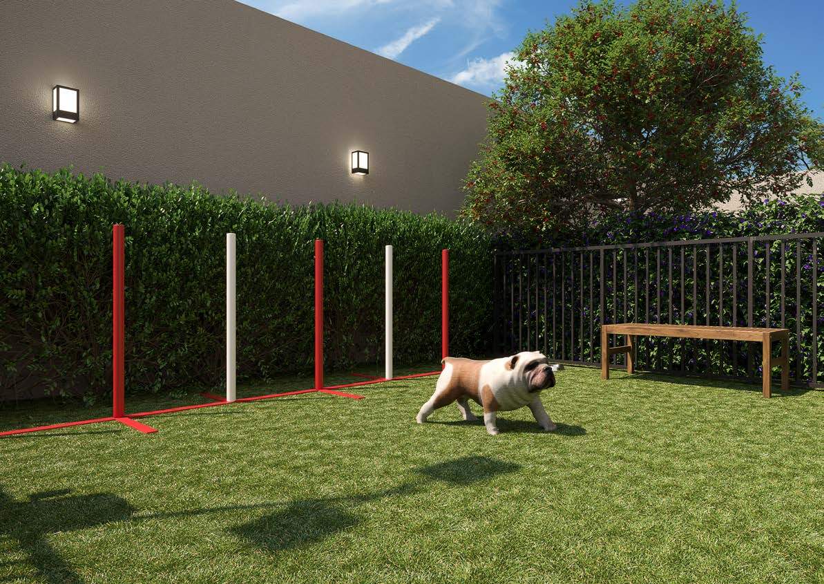 Ares Ipiranga - 47224 - Pet place