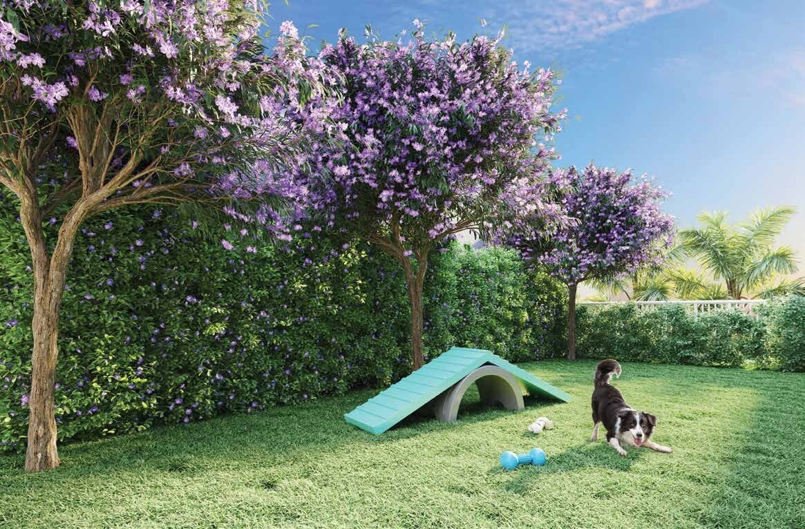 Villares Parada Inglesa - Residencial - 56465 - Pet place