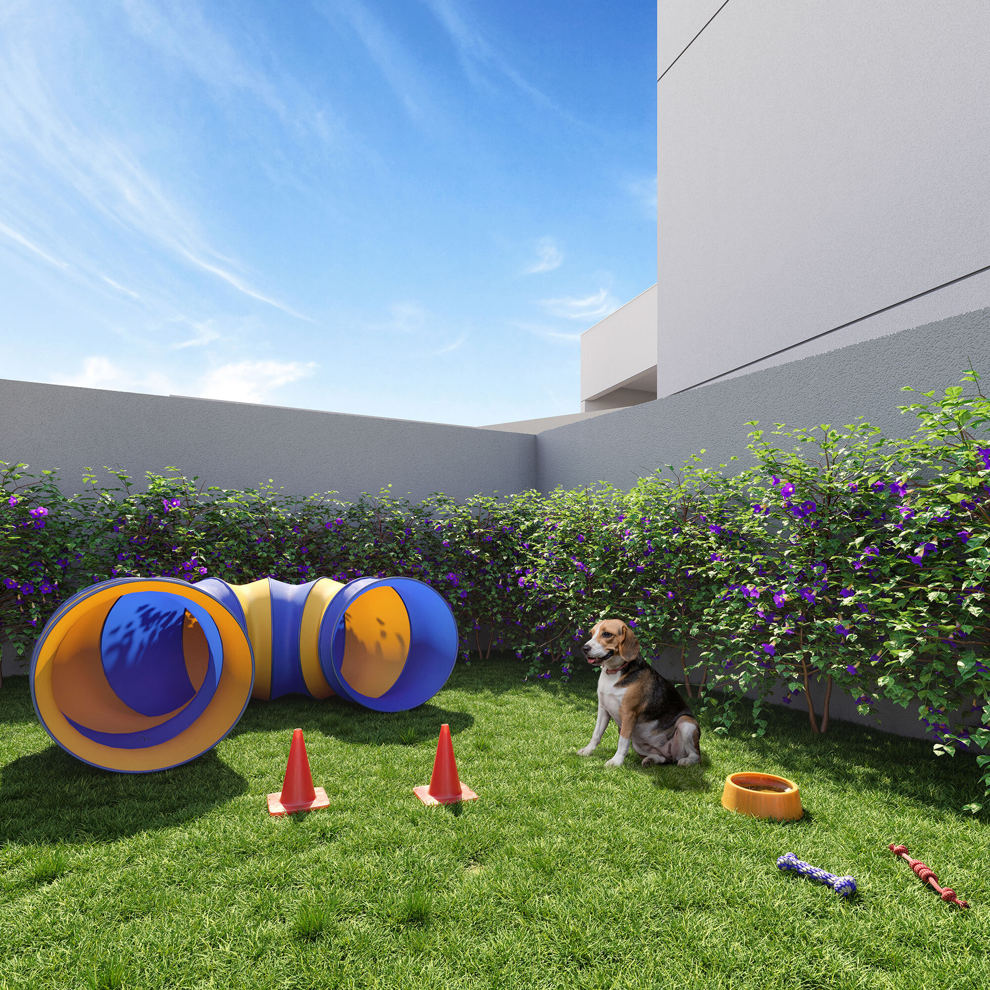 Viva Benx Klabin - 57327 - Pet place