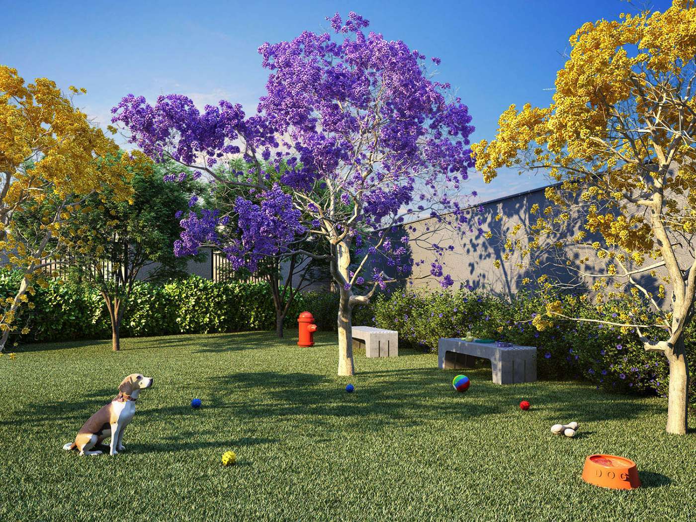 Kazzas Park Nova Atlântica - 57807 - Pet place