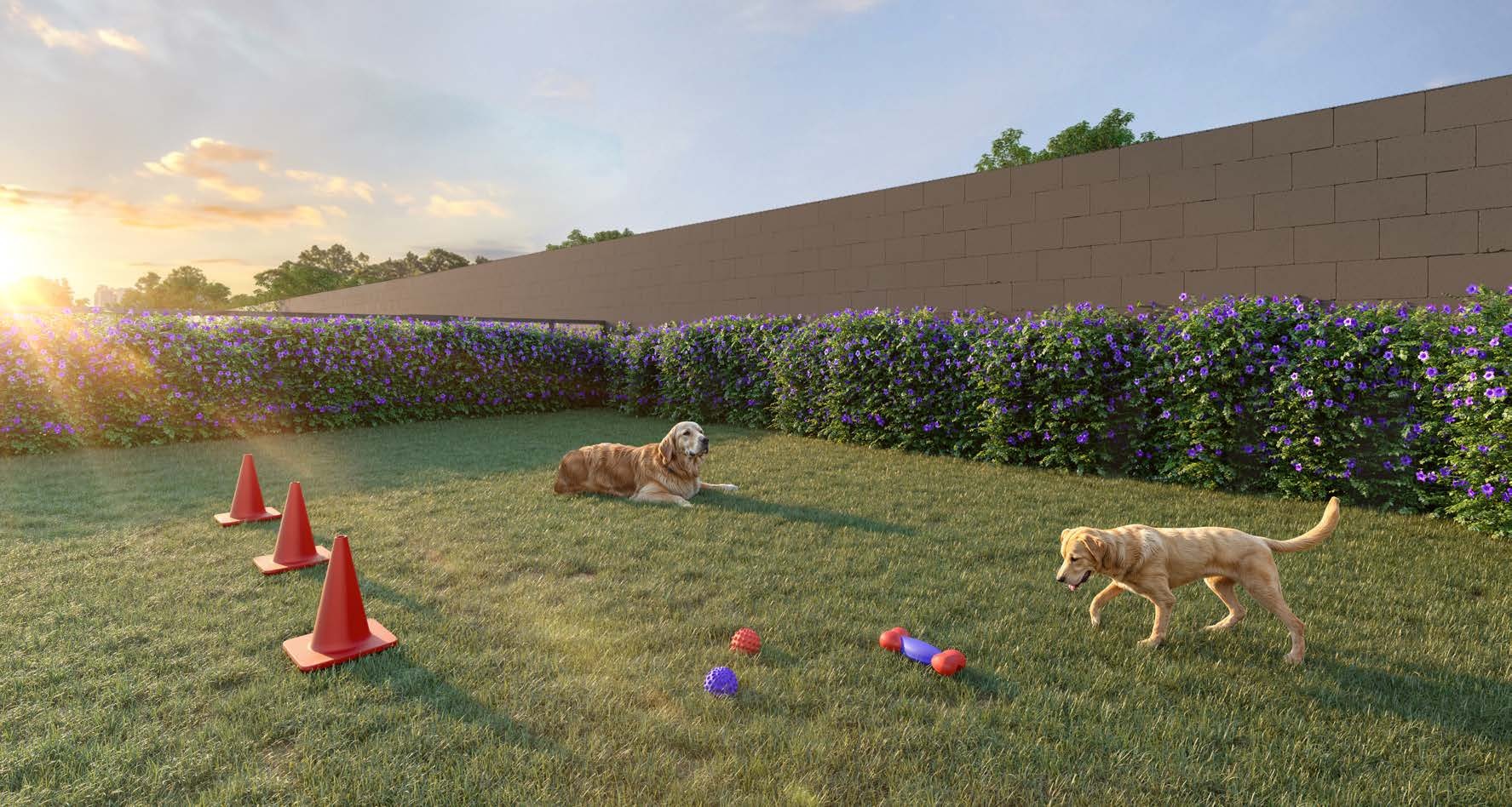 Vivaz Ermelino Matarazzo - 59000 - Pet place