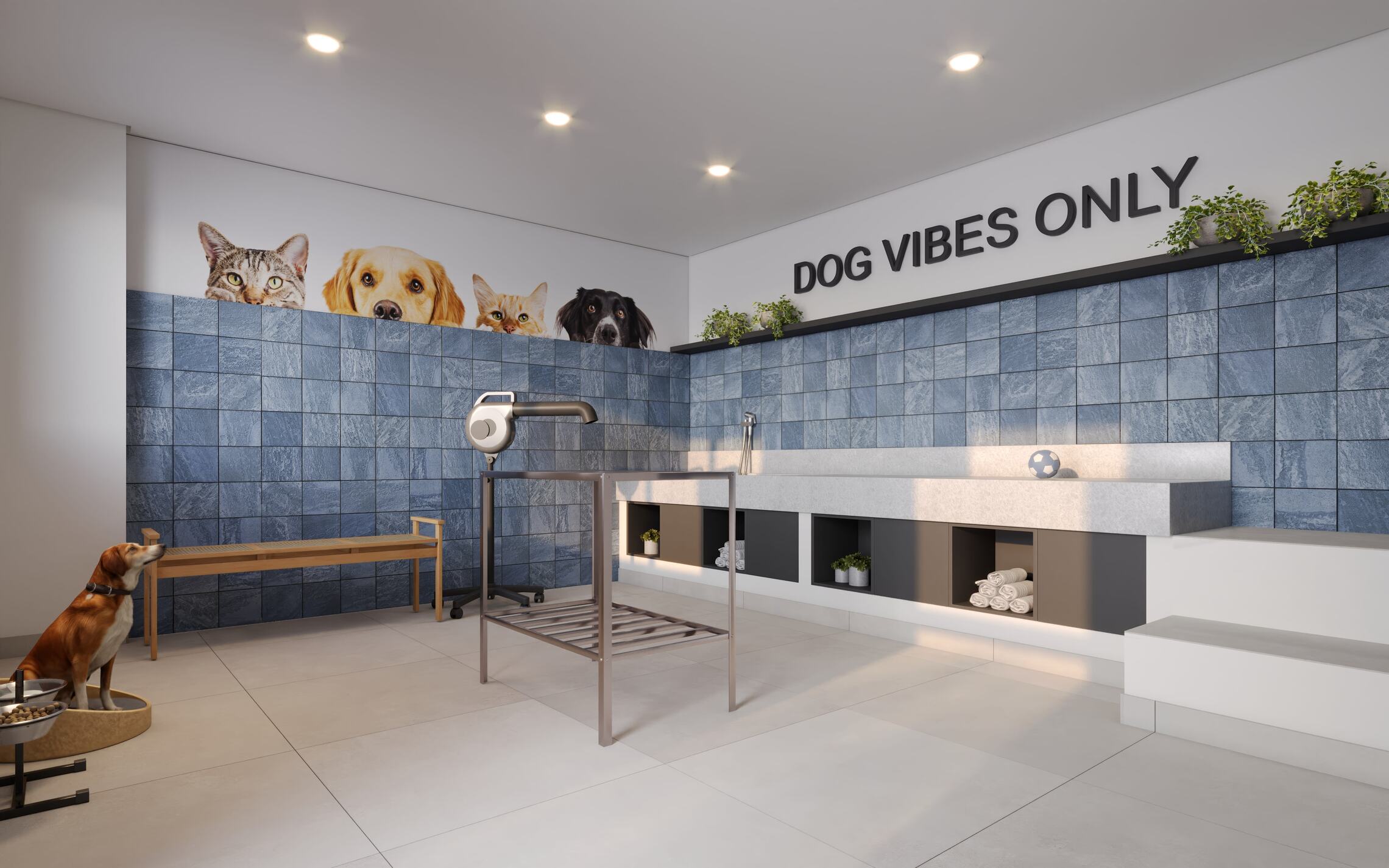 Mérito Belenzinho - 59592 - Pet care