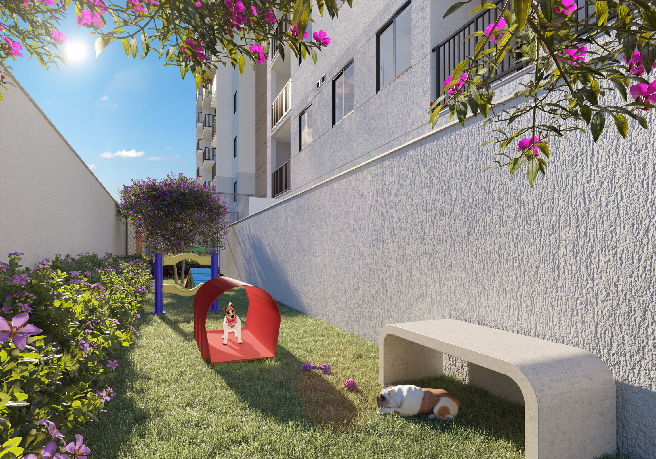 Ipanema 212 - 60293 - Pet place