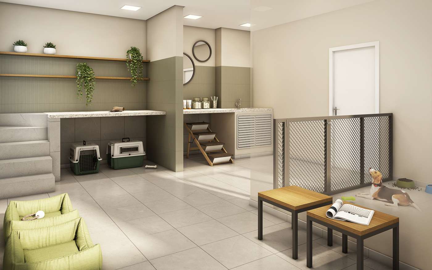 Clube Kazzas Tiquatira - Fase 1 - 60784 - Pet place