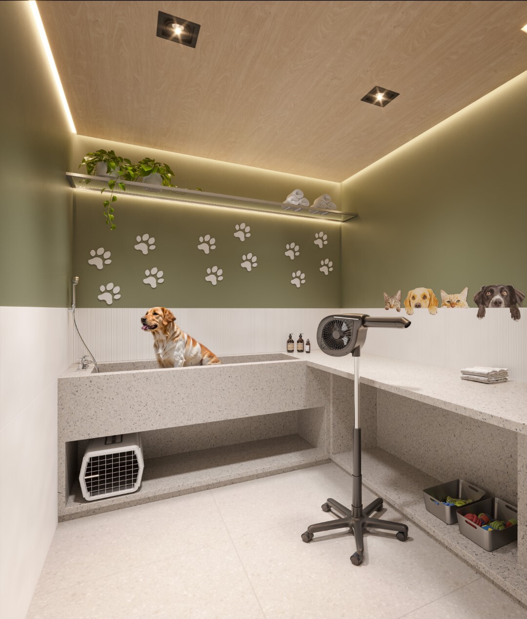 Today Campo Belo - NR - 60933 - Pet care