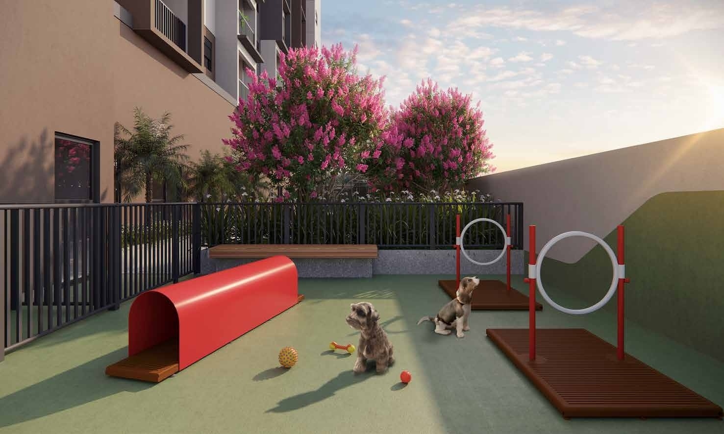 Live Altino - Residencial - 61391 - Pet place