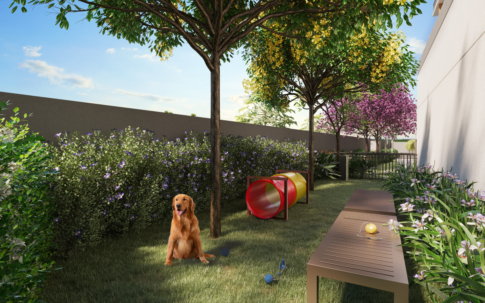 Mirus - NR - 64730 - Pet place