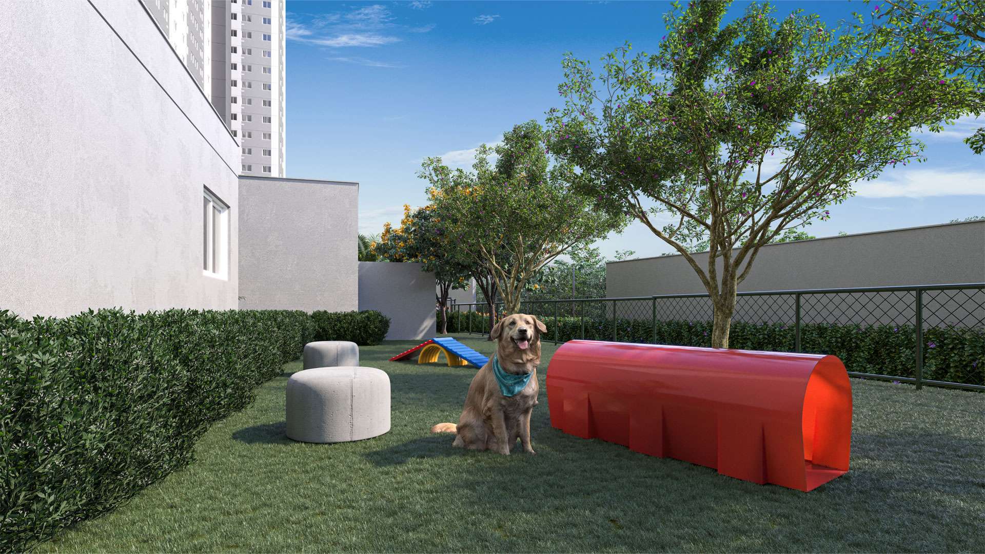 Vibra Marechal Tito - Fase 1 - 65296 - Pet place