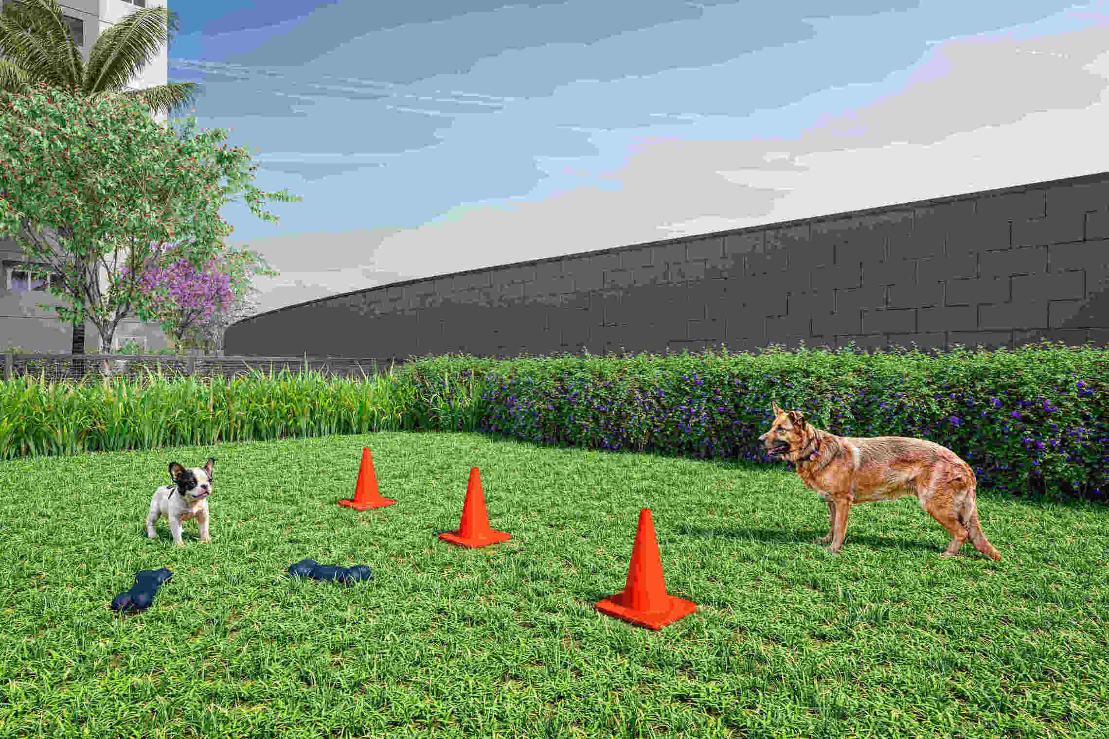 Vivaz Connection Klabin - 65638 - Pet place