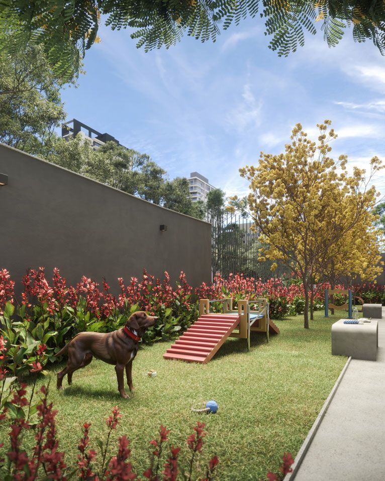 Today Paraíso - Residencial - 66282 - Pet place