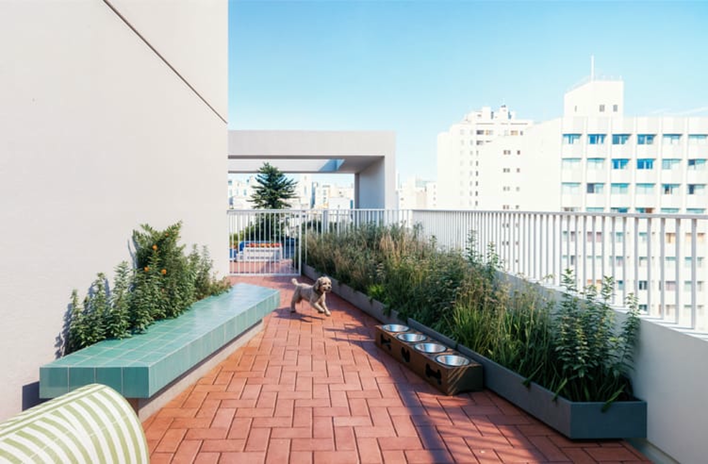 Nurban Rua das Palmeiras - Residencial - 67500 - Pet place