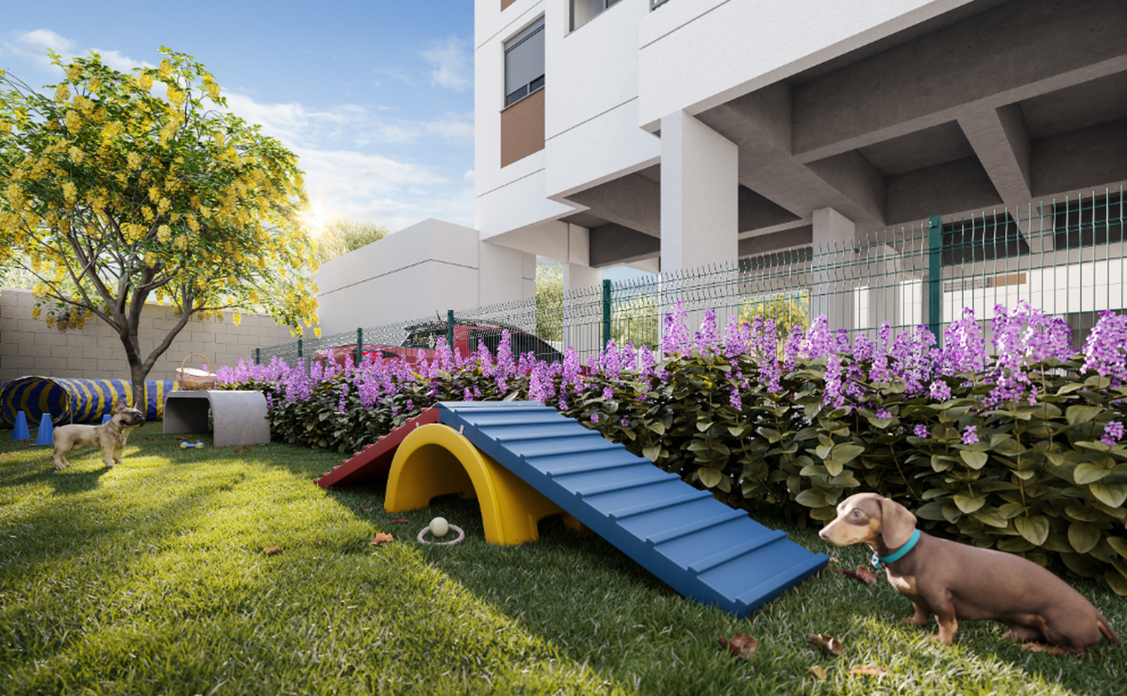 Mirae Bom Retiro - 69060 - Pet place