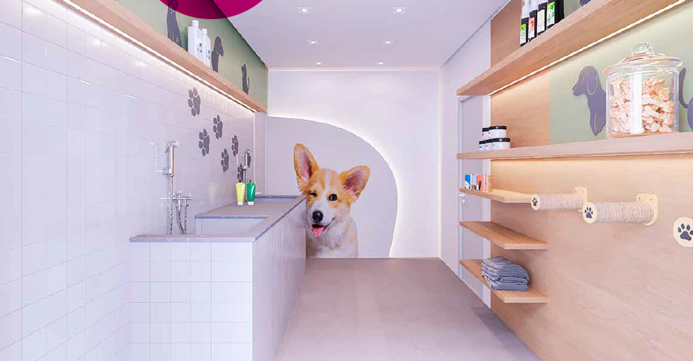 Griffe Club Sapopemba - 70541 - Pet care