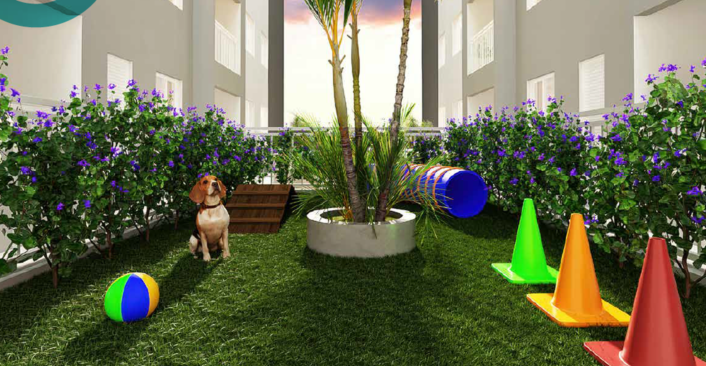 Griffe Club Sapopemba - 70541 - Pet place