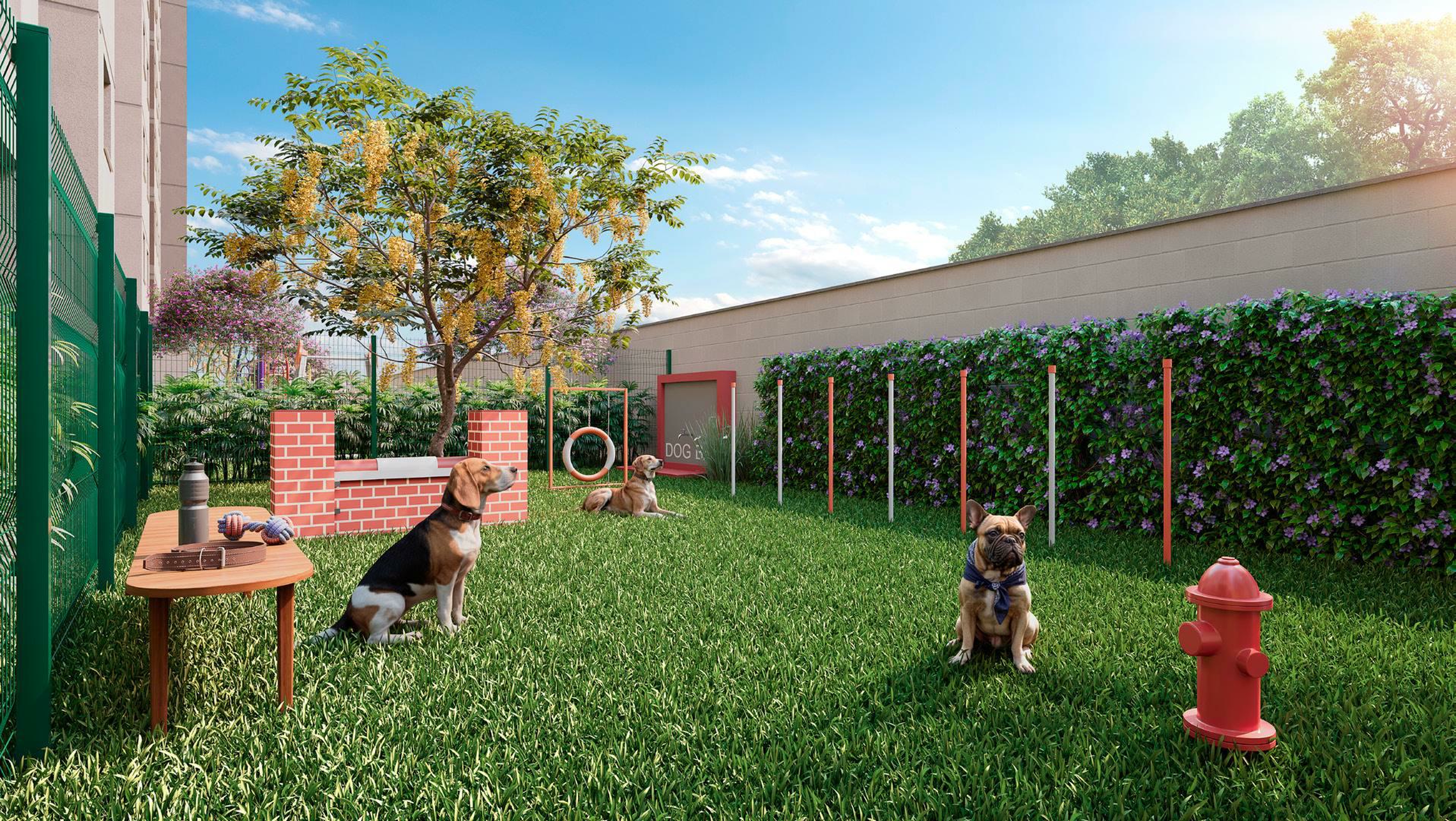 Modern Mooca - 70765 - Pet place