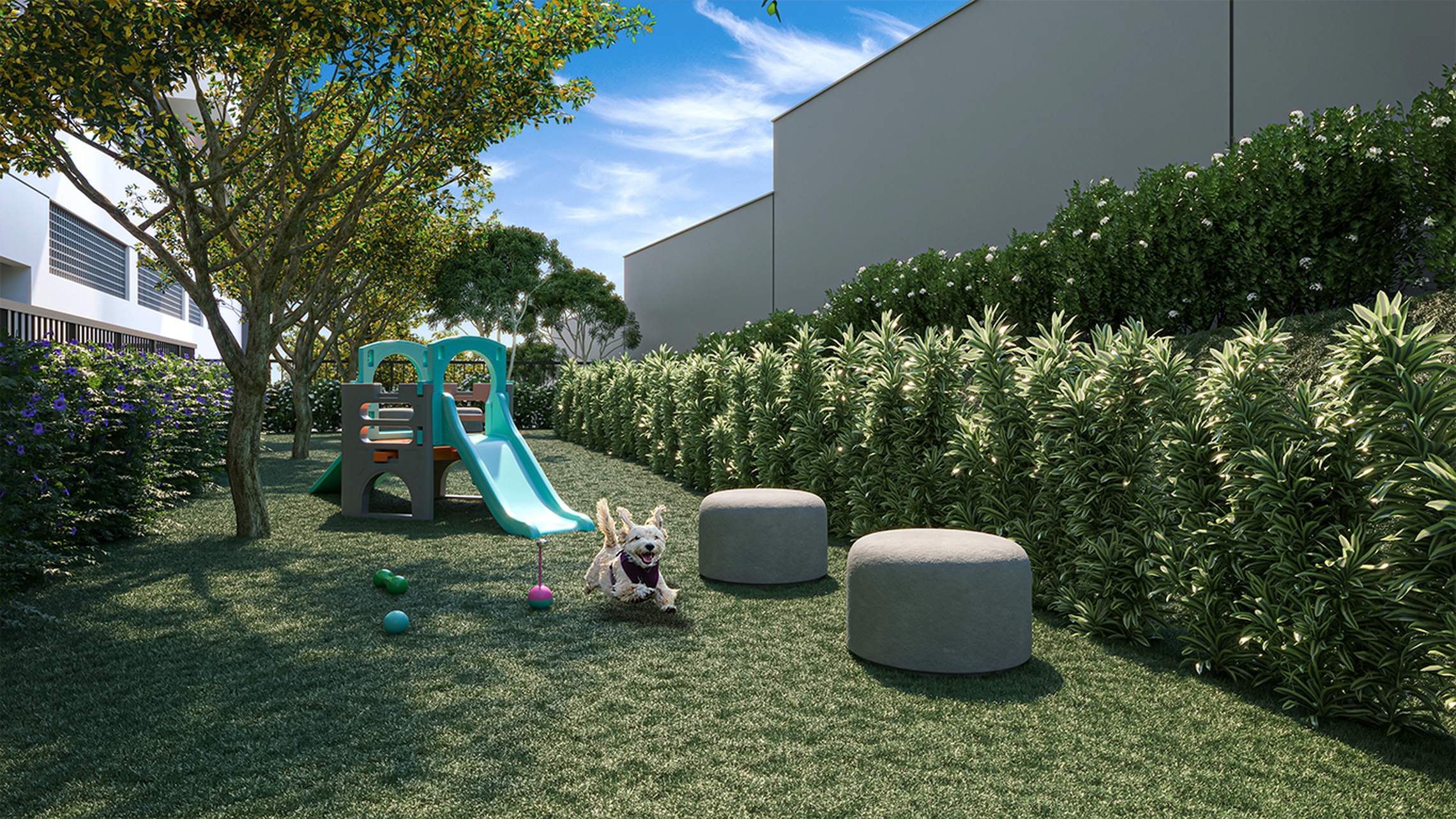 Vibra Veleiros - 71330 - Pet place