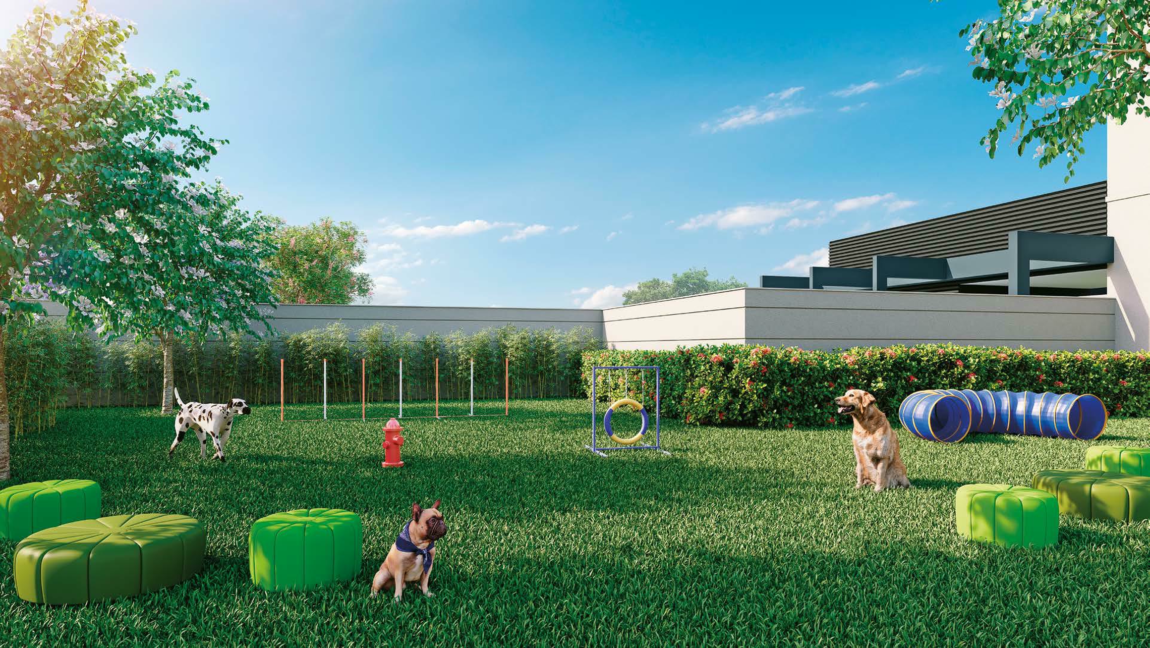Next Guarulhos - 72167 - Pet place