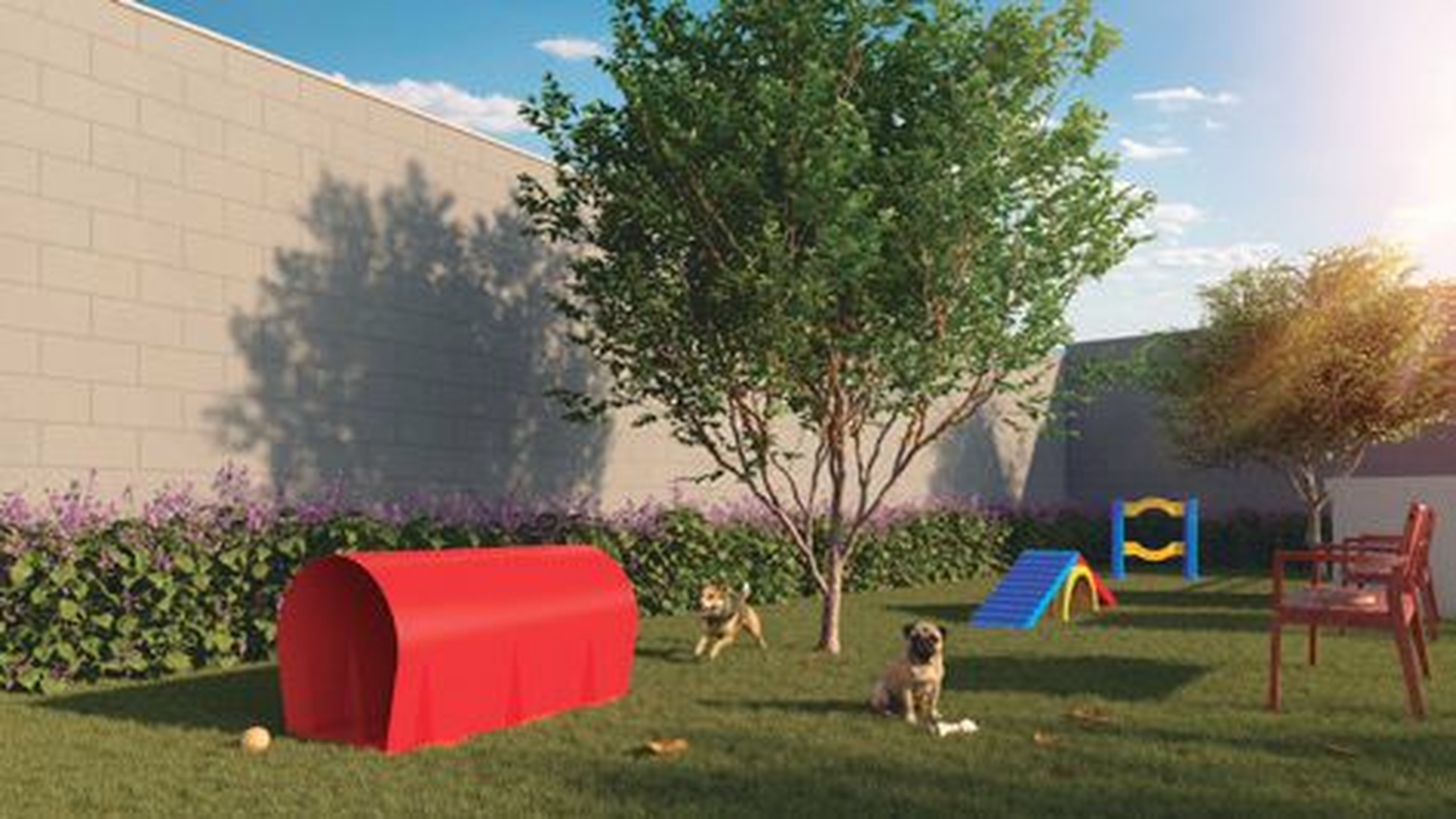 Neo Sacomã - 72168 - Pet place