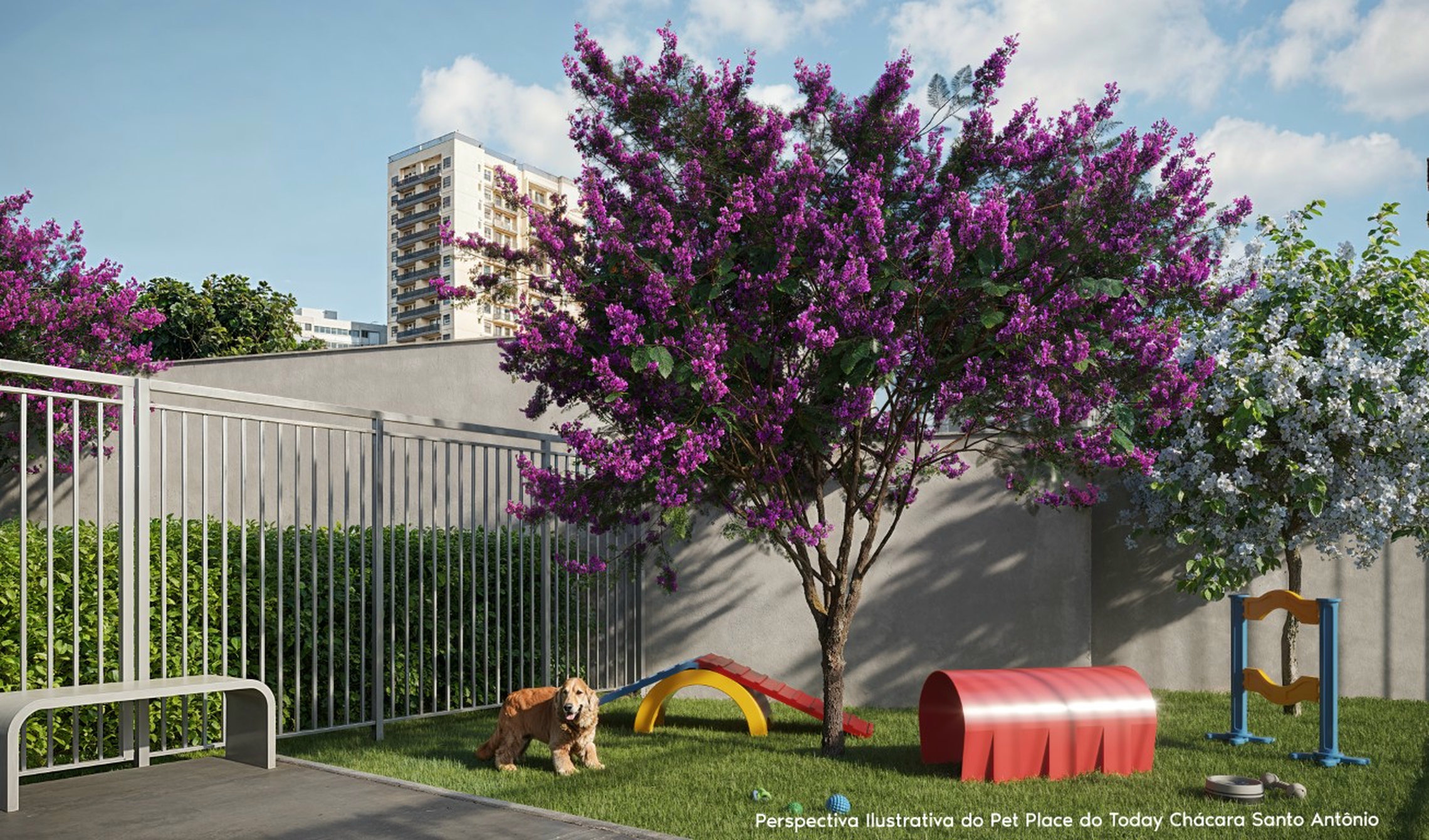 Today Chácara Santo Antônio - 74068 - Pet place