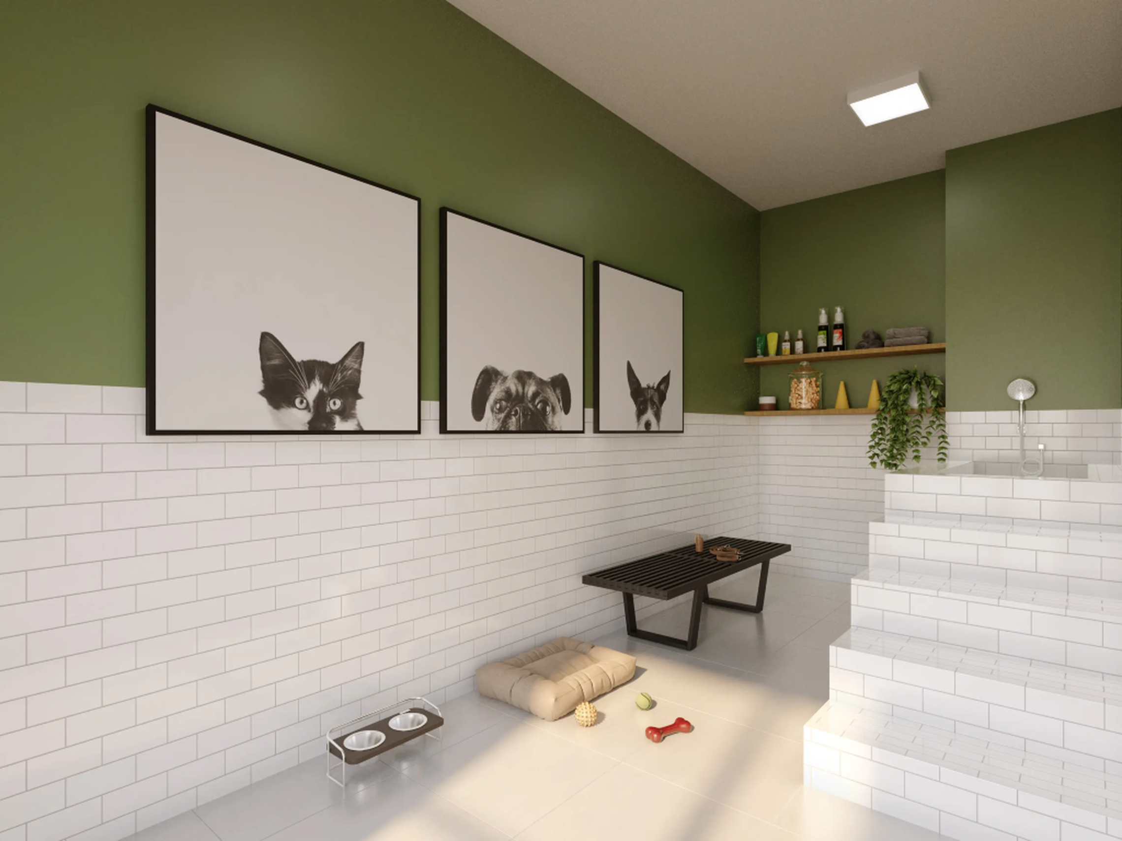 Plano&Bosque do Carmo Eucalipto - 74266 - Pet care