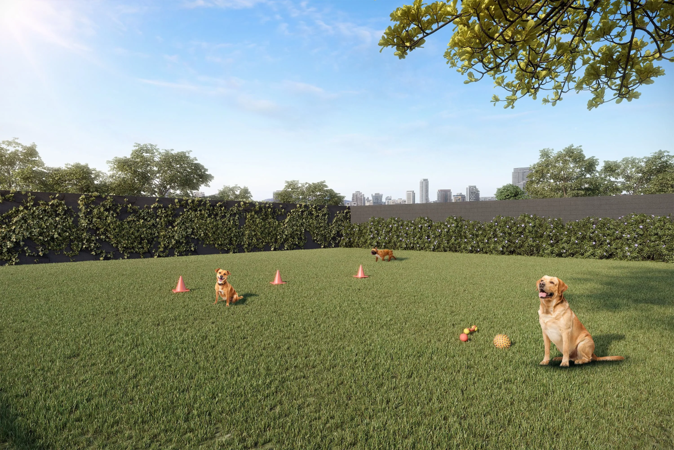 Grand Vivaz Penha - 74315 - Pet place