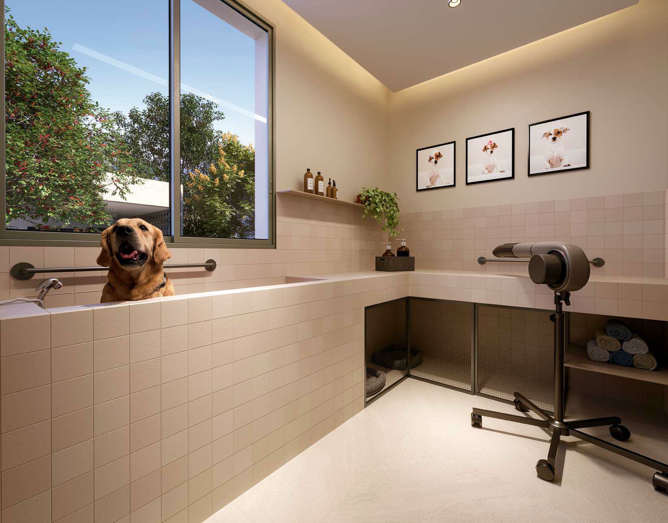 Today Vila Clementino - Residencial - 76076 - Pet care