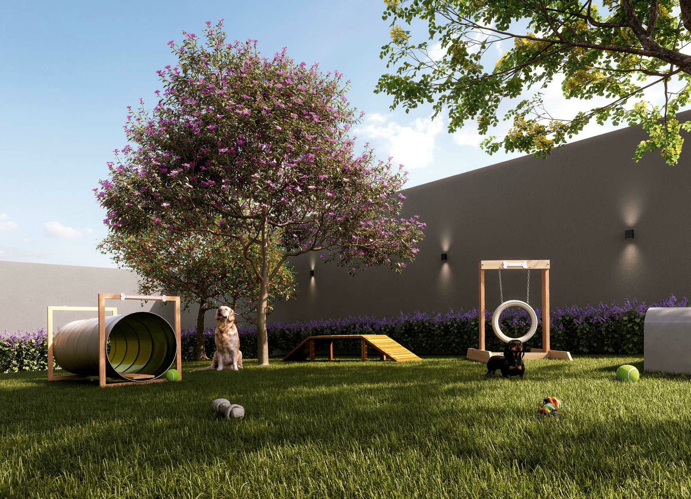 Today Vila Clementino - Residencial - 76076 - Pet place