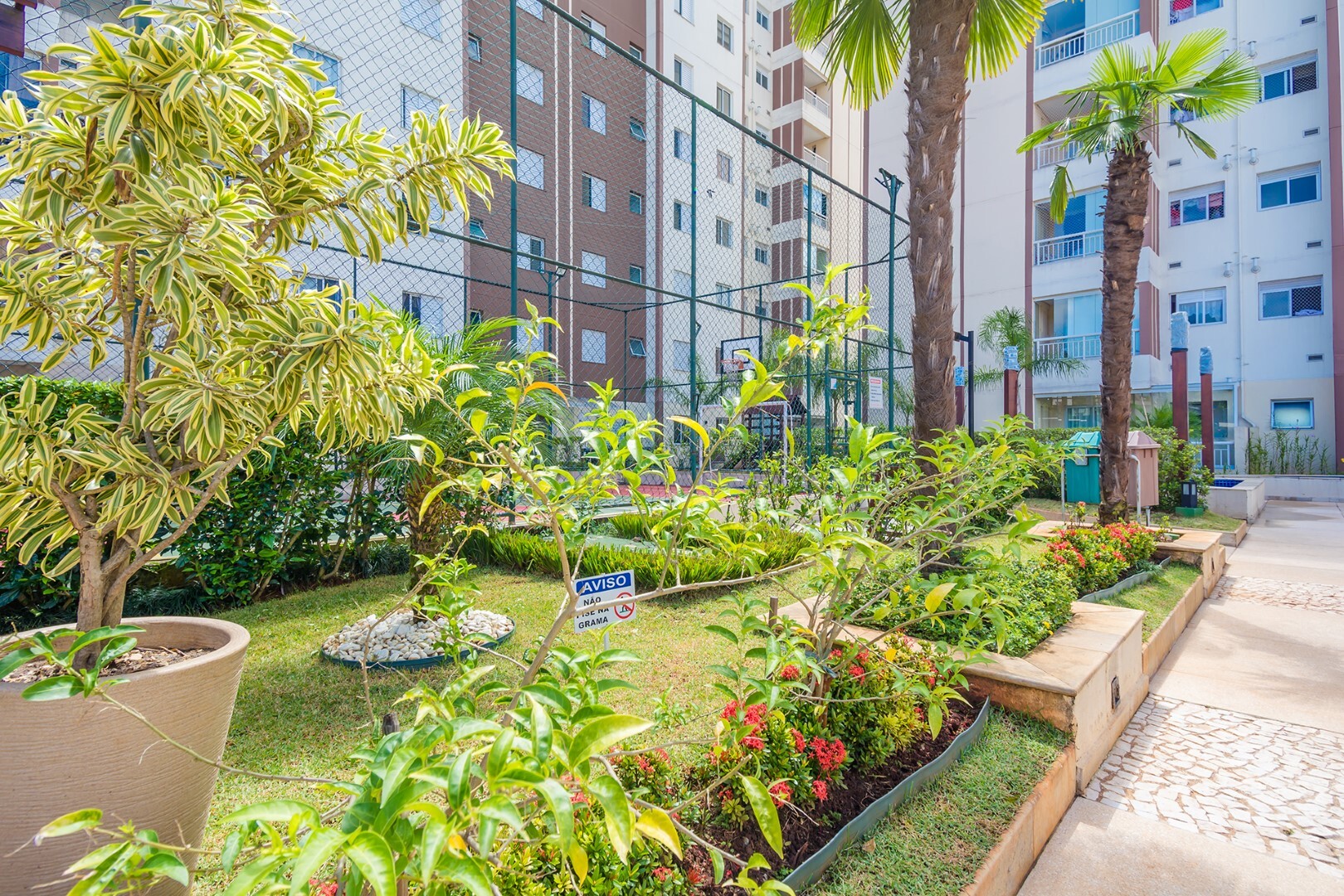 Olimpic MBigucci - 34523 - Jardim