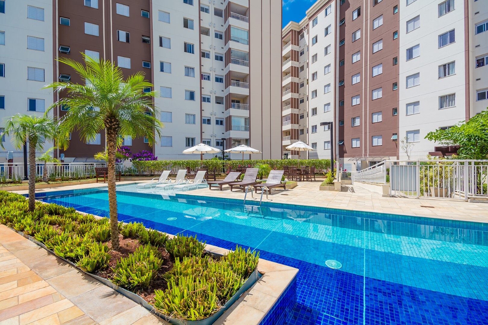 Olimpic MBigucci - 34523 - Piscina