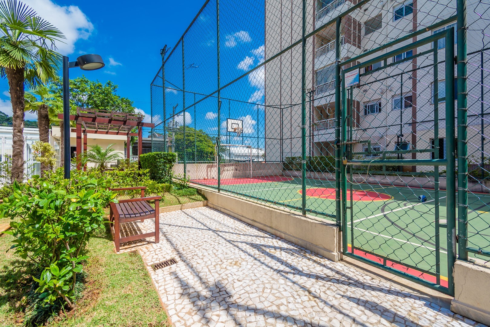Olimpic MBigucci - 34523 - Quadra