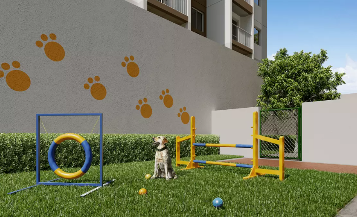 Soul Pari - 57566 - Pet place