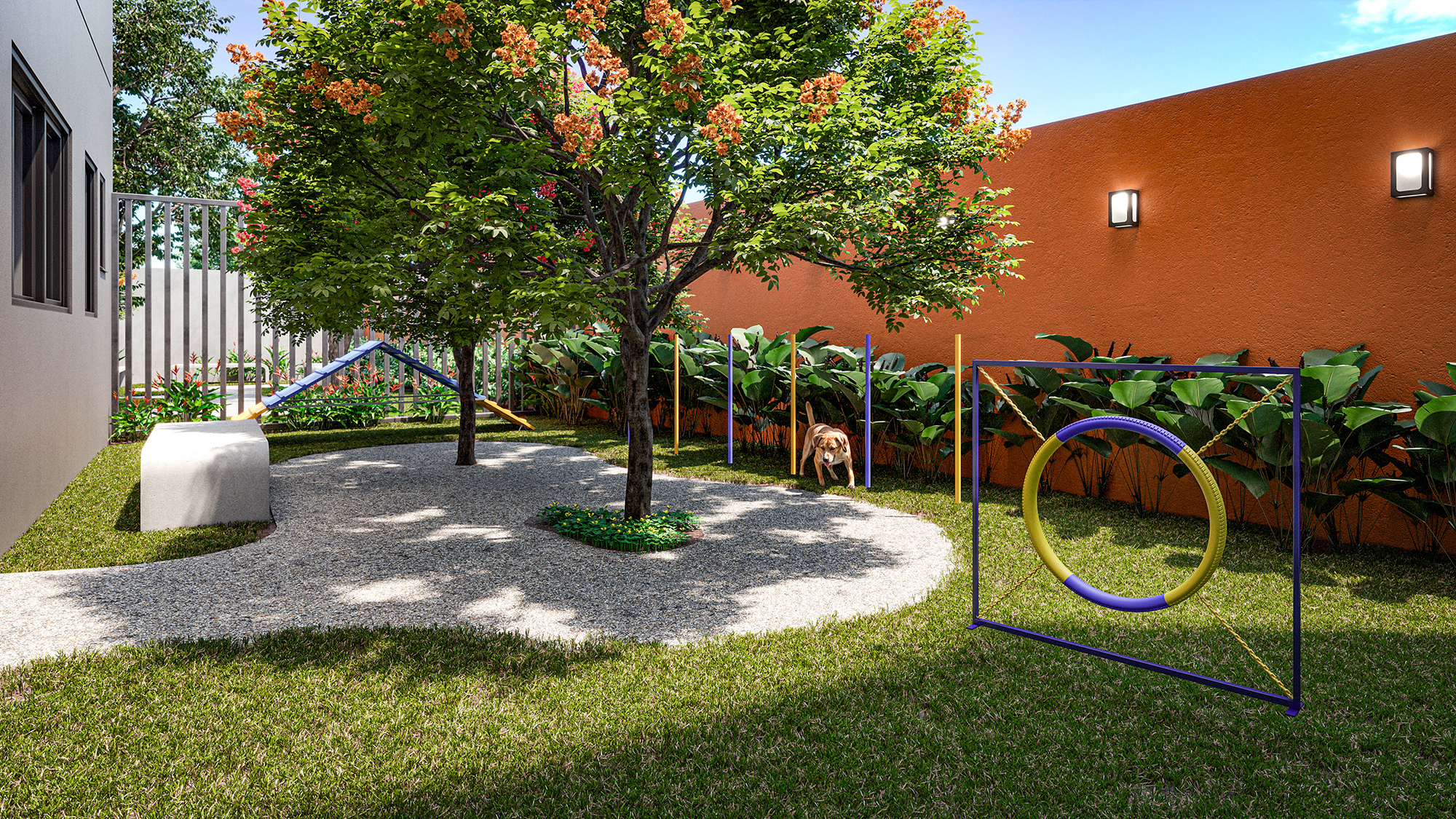 Nurban Barão de Campinas - Residencial - 60008 - Pet place