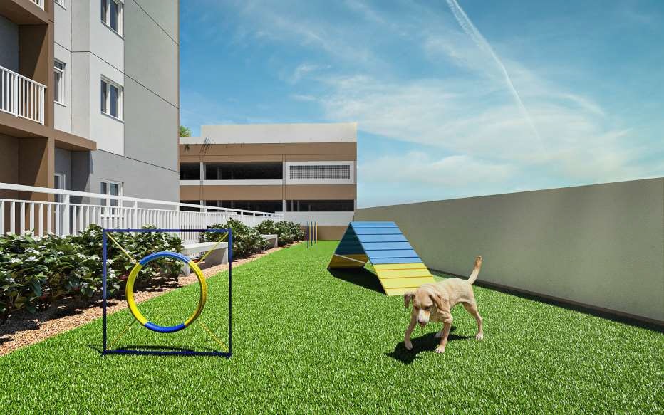 Link Sapopemba - 65821 - Pet place