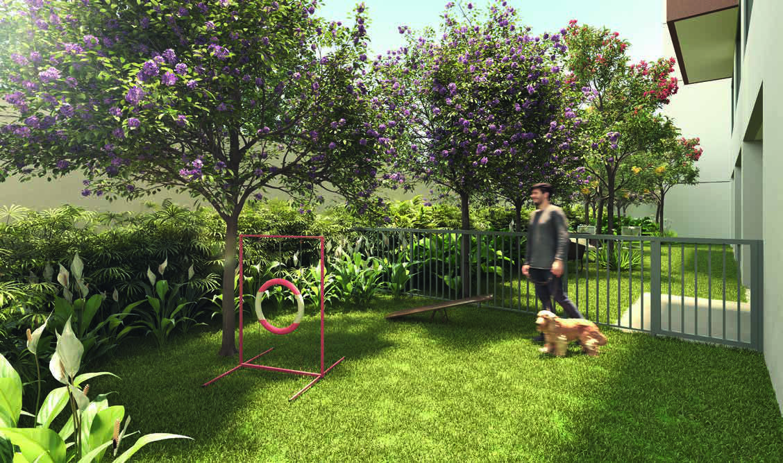 Do It Perdizes - NR - 66753 - Pet place