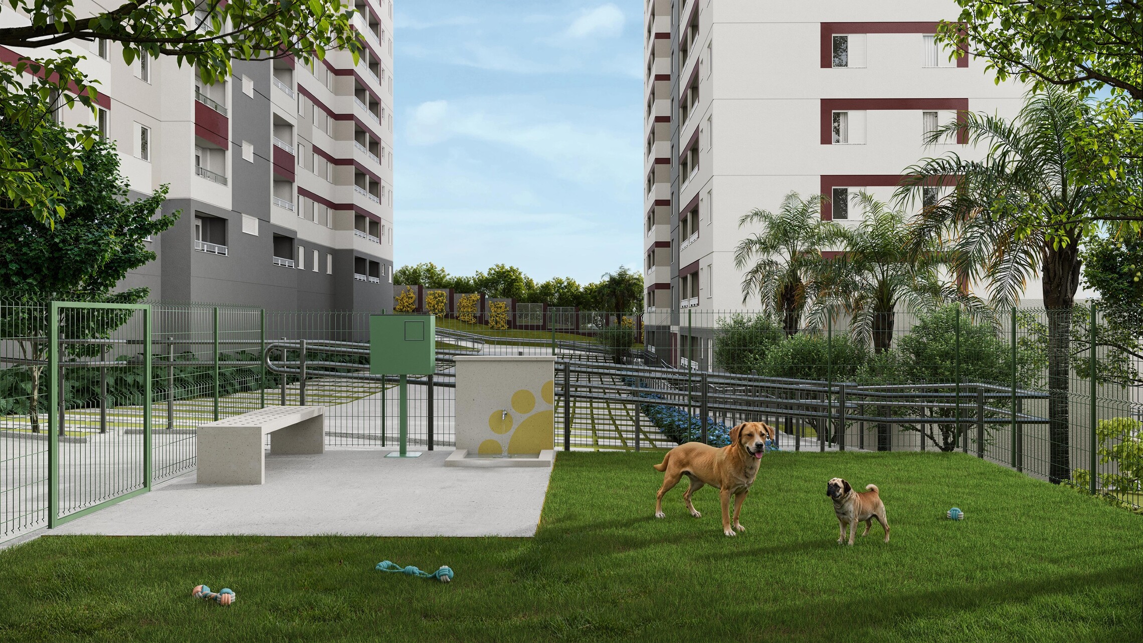 Poente das Bromélias - 68204 - Pet place