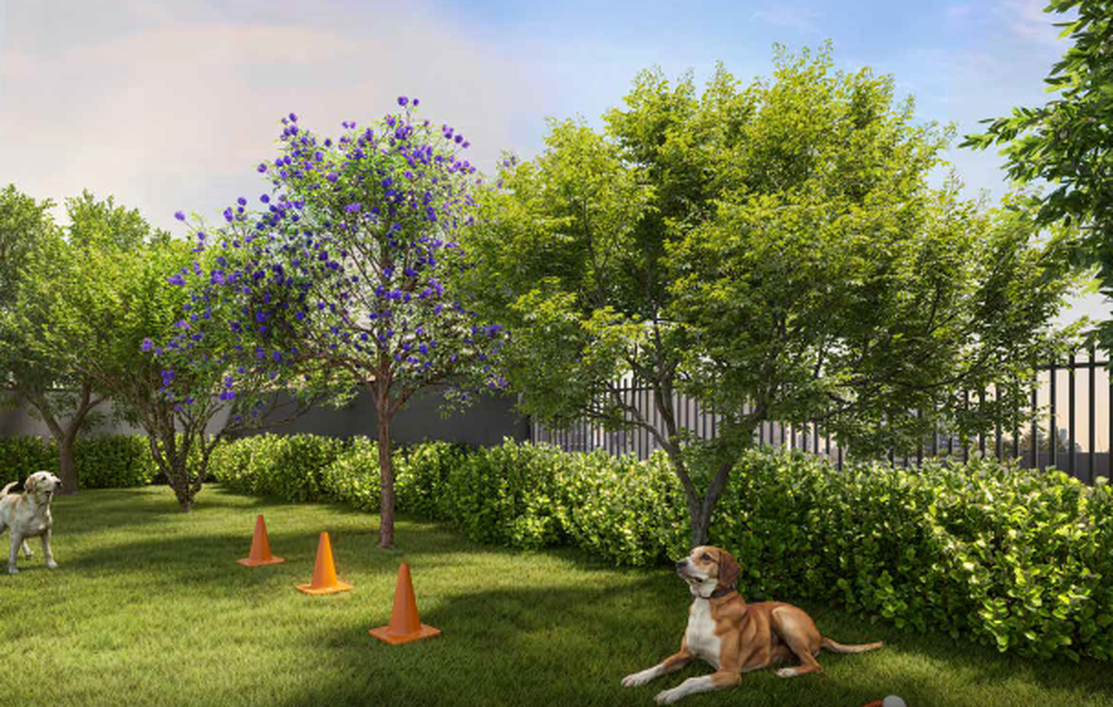 Vivaz Selection Laguna - 69341 - Pet place