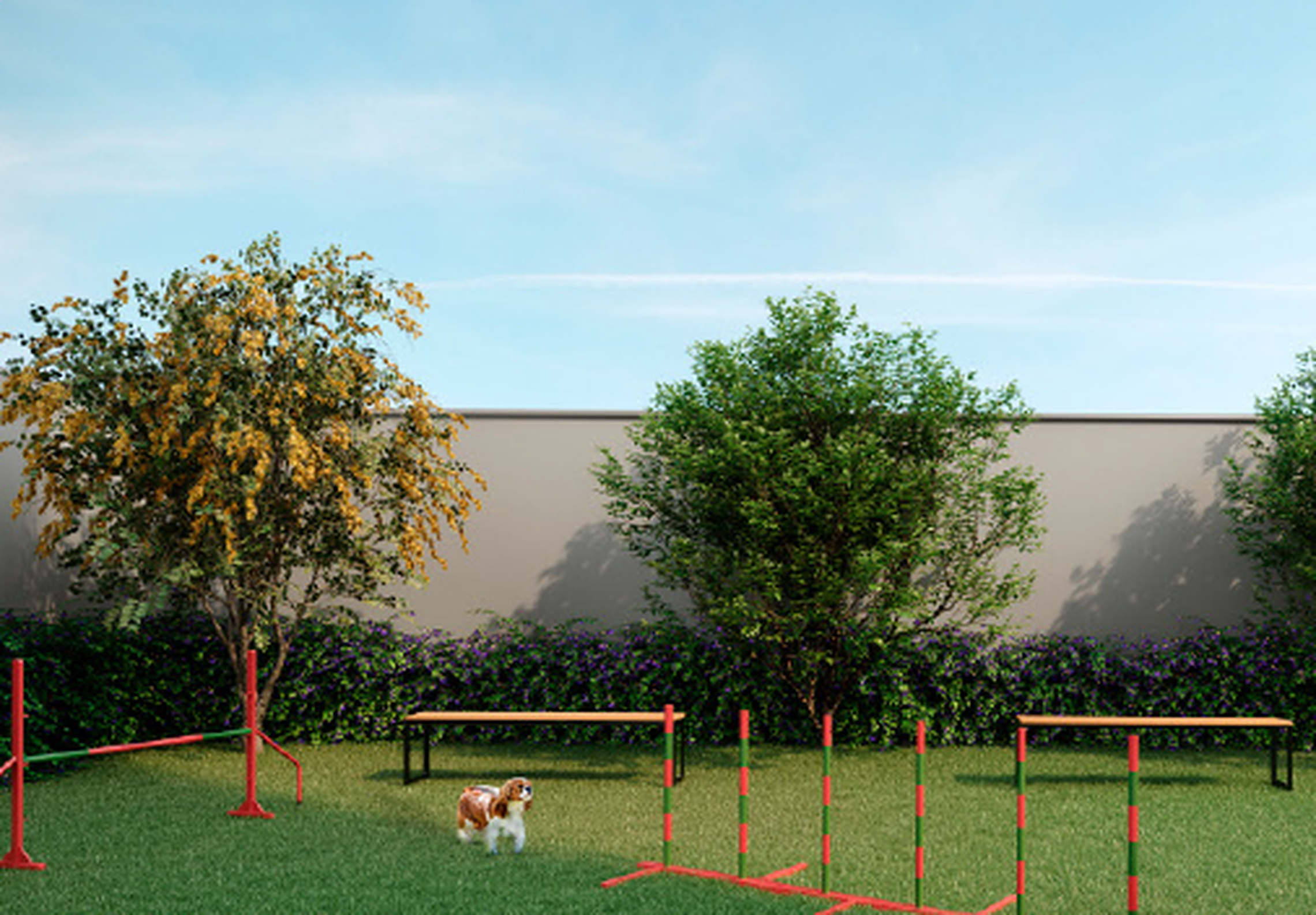 Top Mooca - Residencial - 69473 - Pet place