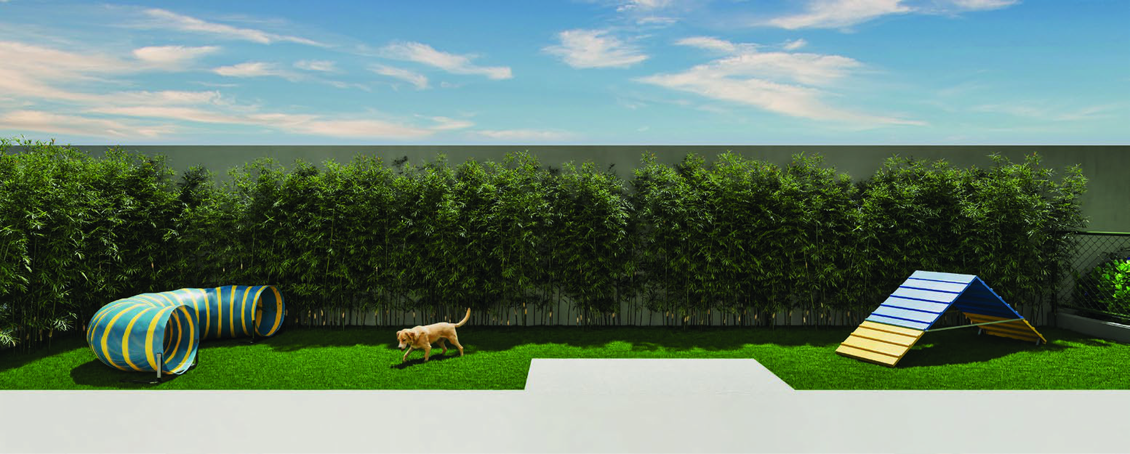 Vibe Aricanduva - 74308 - Pet place