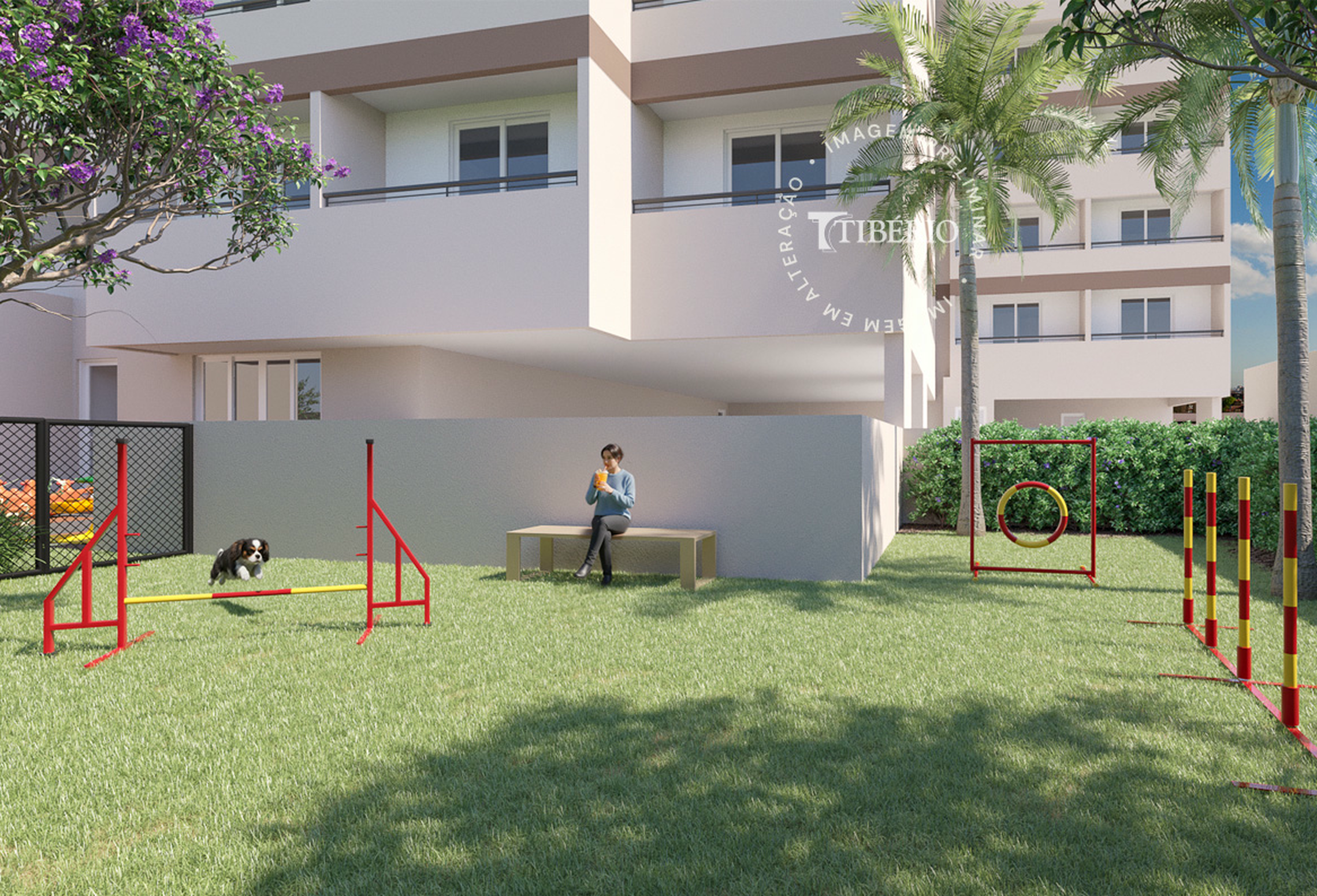 Hub Belém - 75969 - Pet place