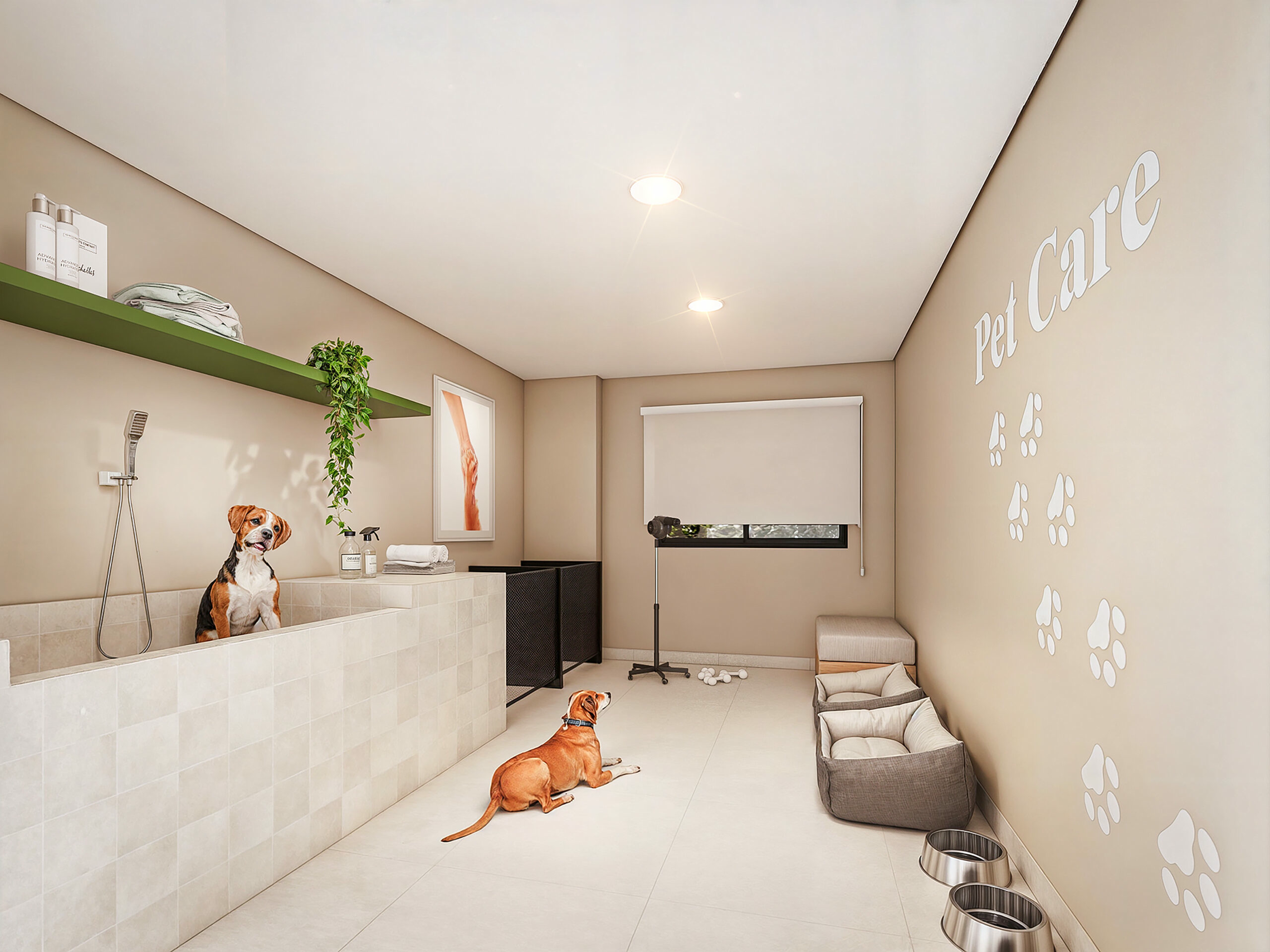 Lyon Penha - 76172 - Pet care