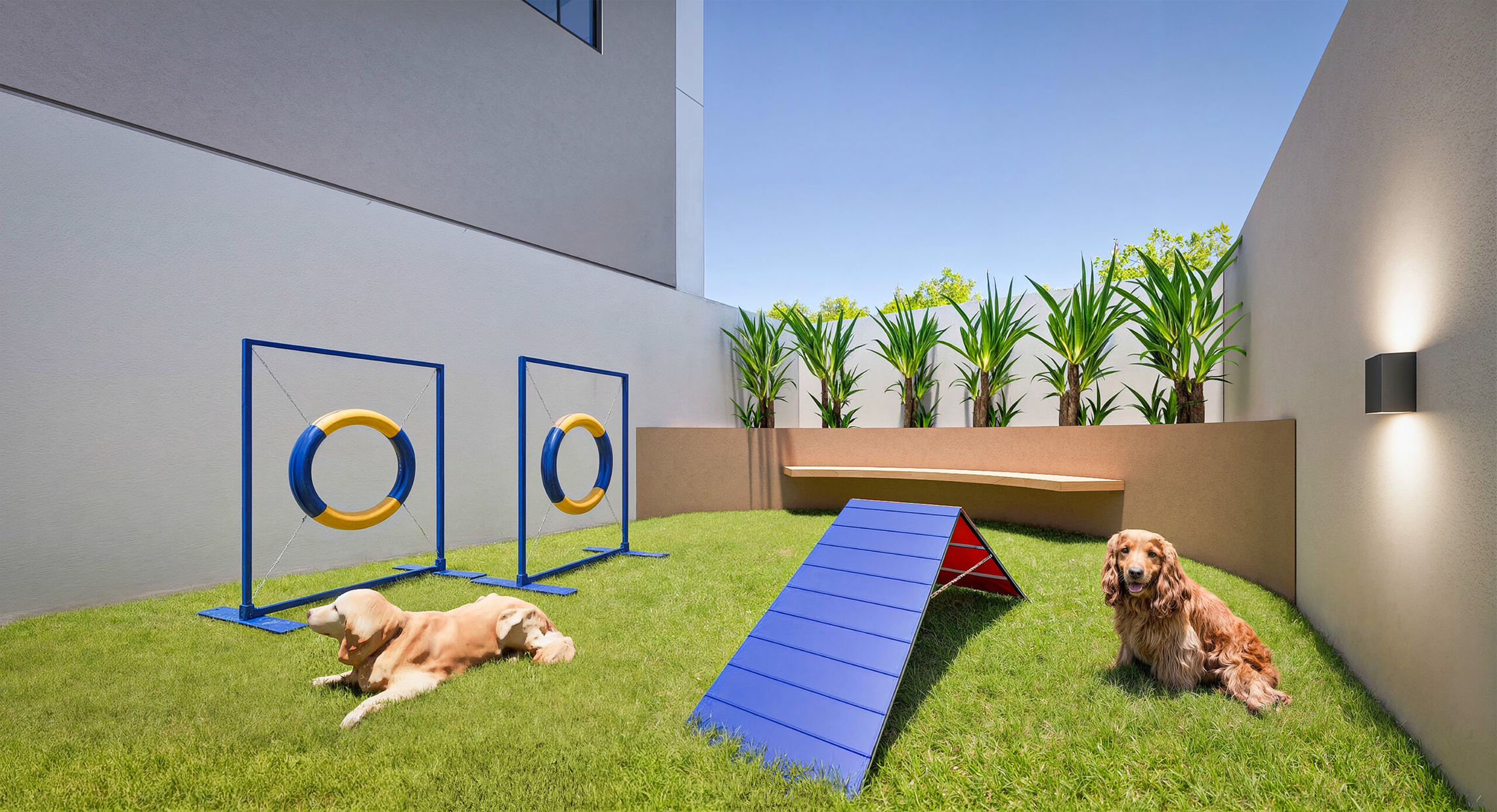 Lyon Penha - 76172 - Pet place