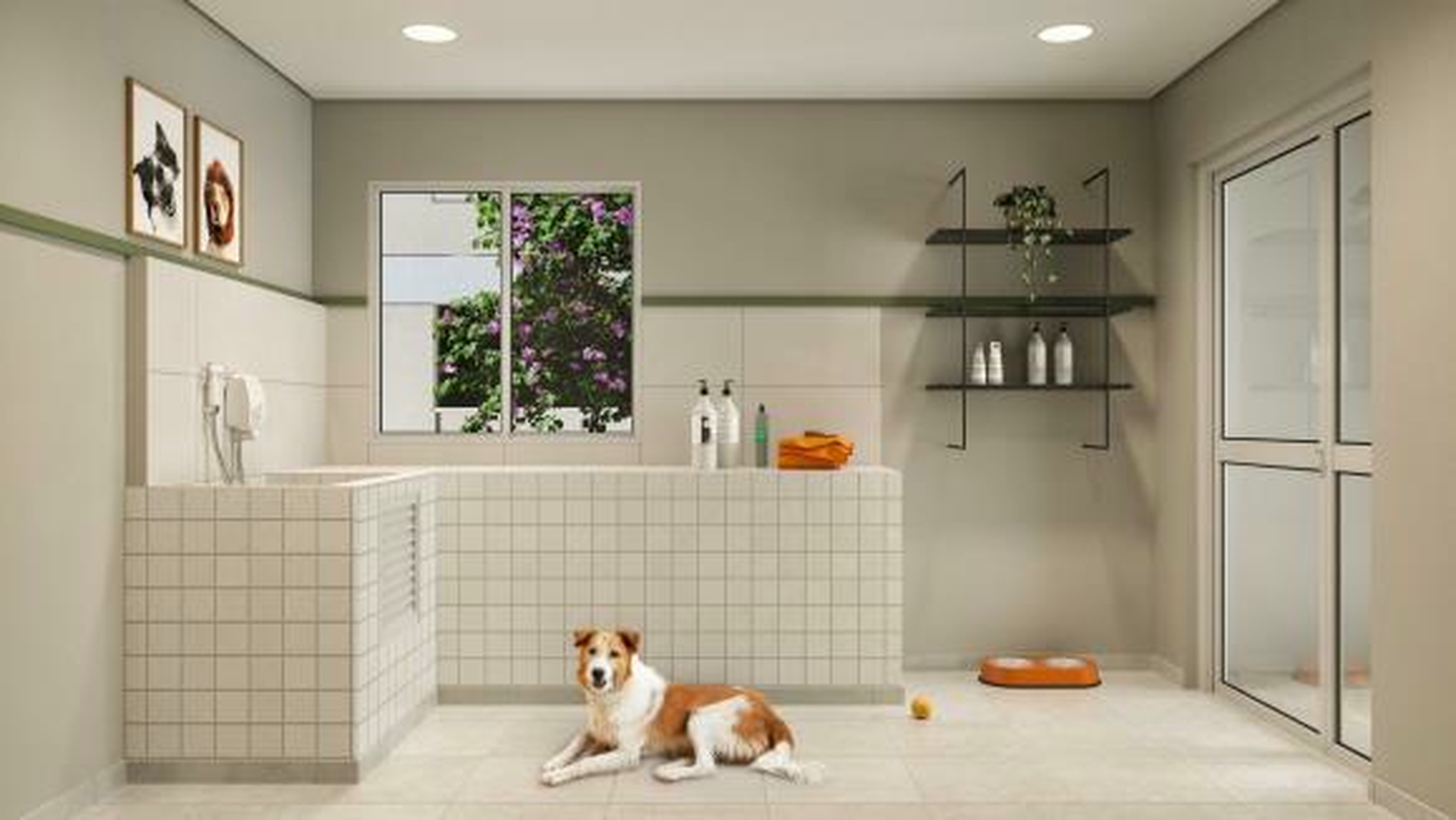 Liv Parque do Carmo - 76373 - Pet care