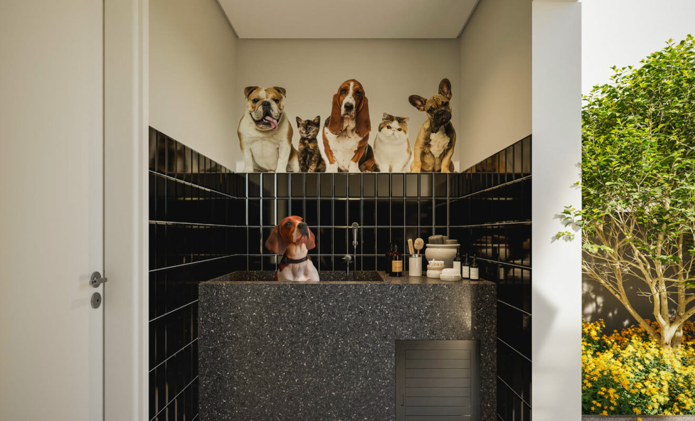 Zenion - 77125 - Pet care