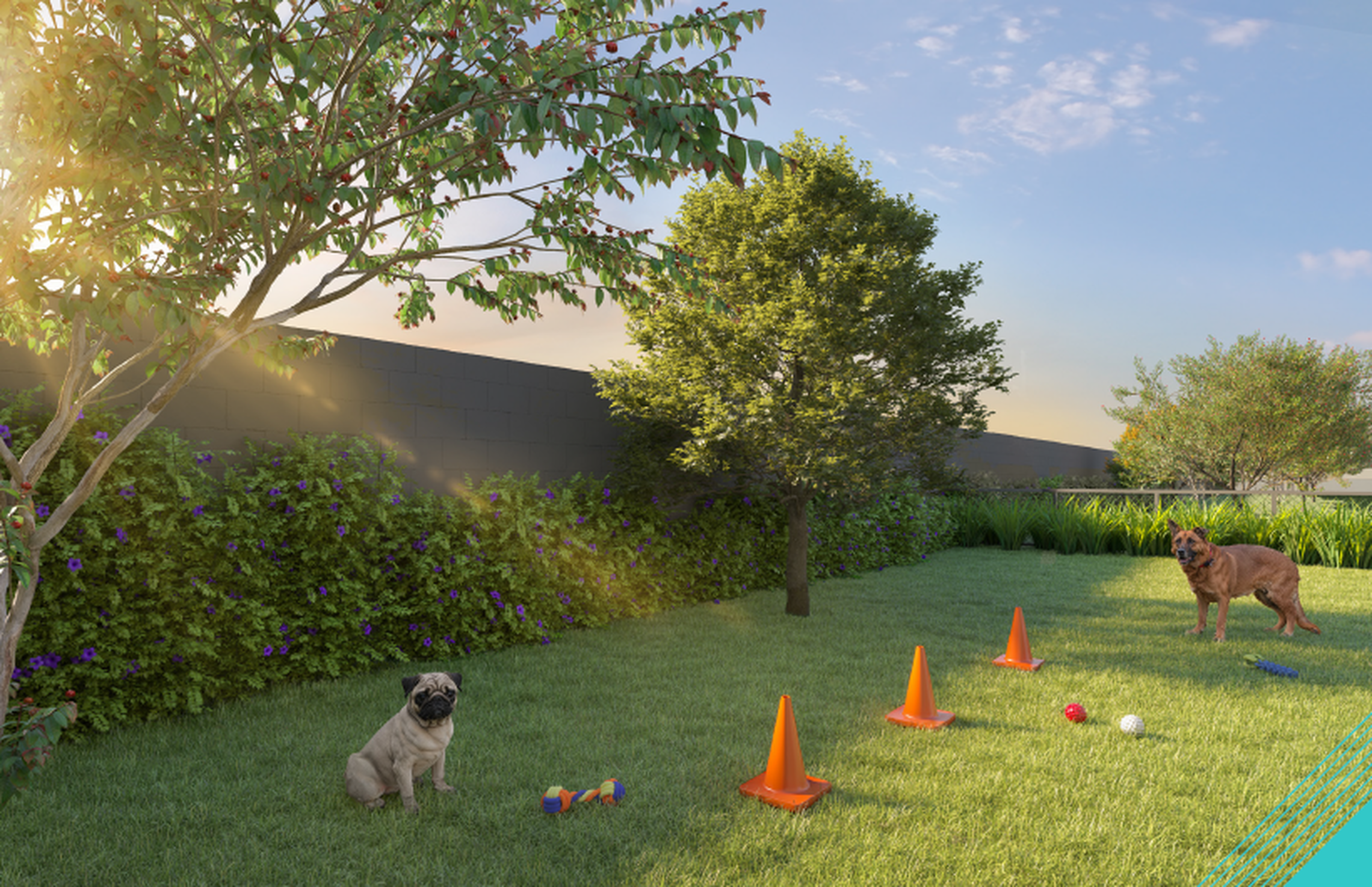 Grand Vivaz Lapa - 78389 - Pet place